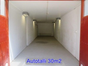 halli30-2
